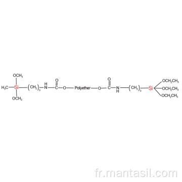 Polyéther à terminaison diméthoxy et à terminaison triéthoxy